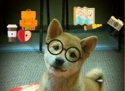 开云体育在线-雷恩掀翻旧王，梅西加冕新神，足球世界的权力交接夜