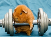 开云体育APP下载-穆勒实力证身价，希腊奇迹胜曼联，足球世界的双重奏鸣