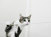 开云体育入口-天平上的最后一克，班凯罗与那个决定世界排名的夜晚