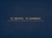 开云体育app-南粤铁血锁灵蛇，当广东队的窒息防守遇上福克斯的致命一击