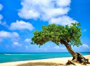 开云体育官网-当东方天山遇上北美雄鹰，恩比德一肩扛起两个世界的期待