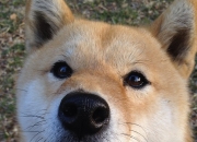 开云sport-两座孤岛共鸣，被终结的与终将降临的