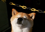 开云-铁骑纵横金字塔，当英格兰的精密机器遭遇莱万的权力游戏