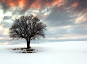 开云体育app-73+21！恩比德核爆级数据绞碎猛龙 篮网借东风展露冠军级獠牙