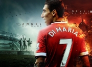 开云体育中国-草原公牛与雨林黄蜂，世界杯舞台上的自然法则