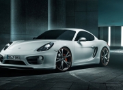 开云体育官网-沸腾的午后，当明尼苏达的狼嚎响彻山西主场