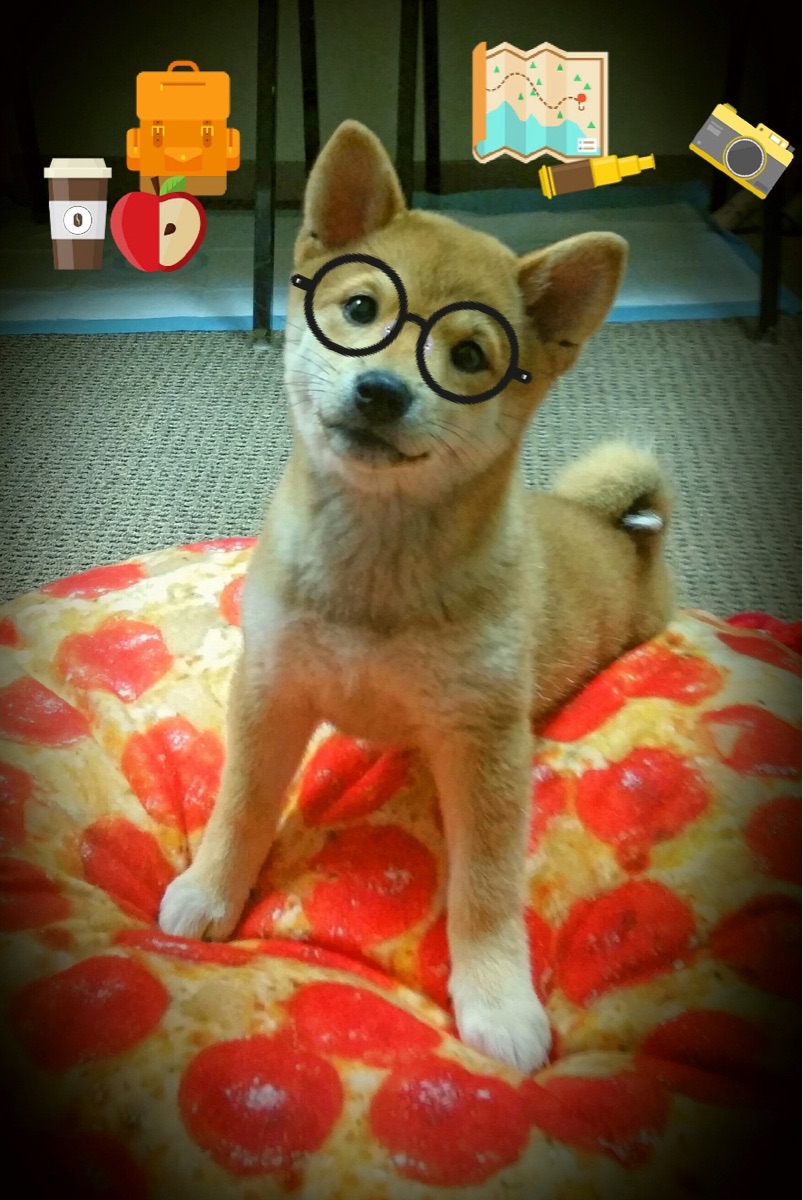 唯一之战，广厦队跨洲逆袭，打穿勇士王朝神话！