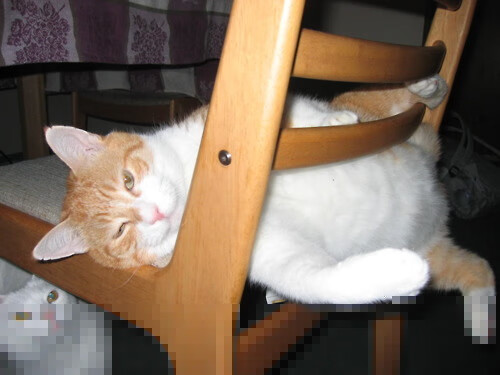 阿坎吉爆发,从拉齐奥巅峰对决汲取灵感,瑞士力克几内亚