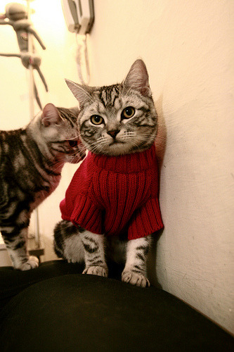 三分如雨锁定胜利,东契奇独木难支!库里连续暴击独行侠,悬念提前七分钟终结