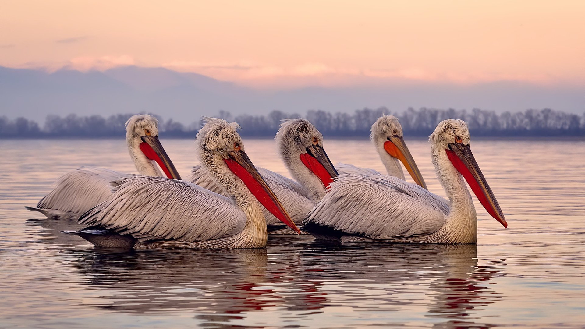 一场爆冷背后，当山西队粉碎爵士，恩比德如何成为跨越文化的关键先生？