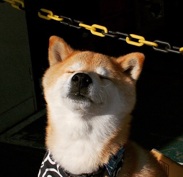 跨时空较量，当辽宁铁骑在抢七夜全面压制独行侠—一场虚实交织的篮球狂想