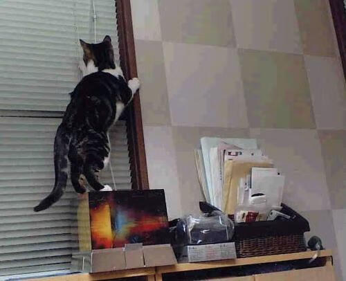 宿命重演，当塞维利亚的铁幕压向罗马，唯有伊布能让天平倾斜