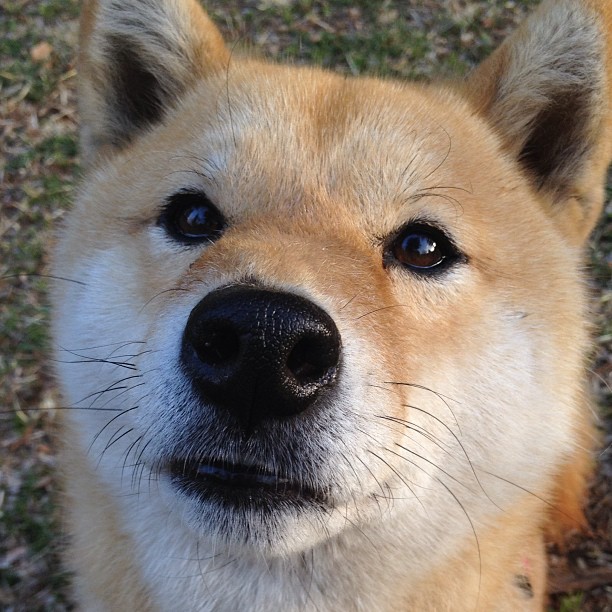两座孤岛共鸣,被终结的与终将降临的