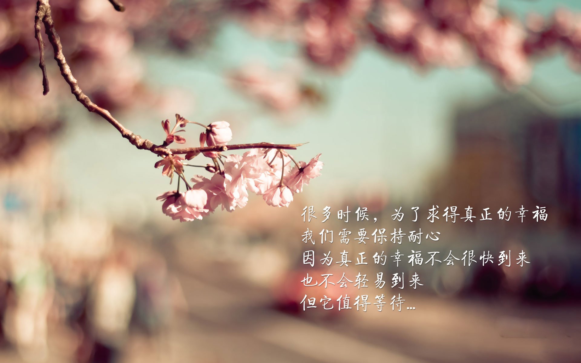 当武切维奇踏进斯坦福桥—一个平行宇宙的英超争冠之夜
