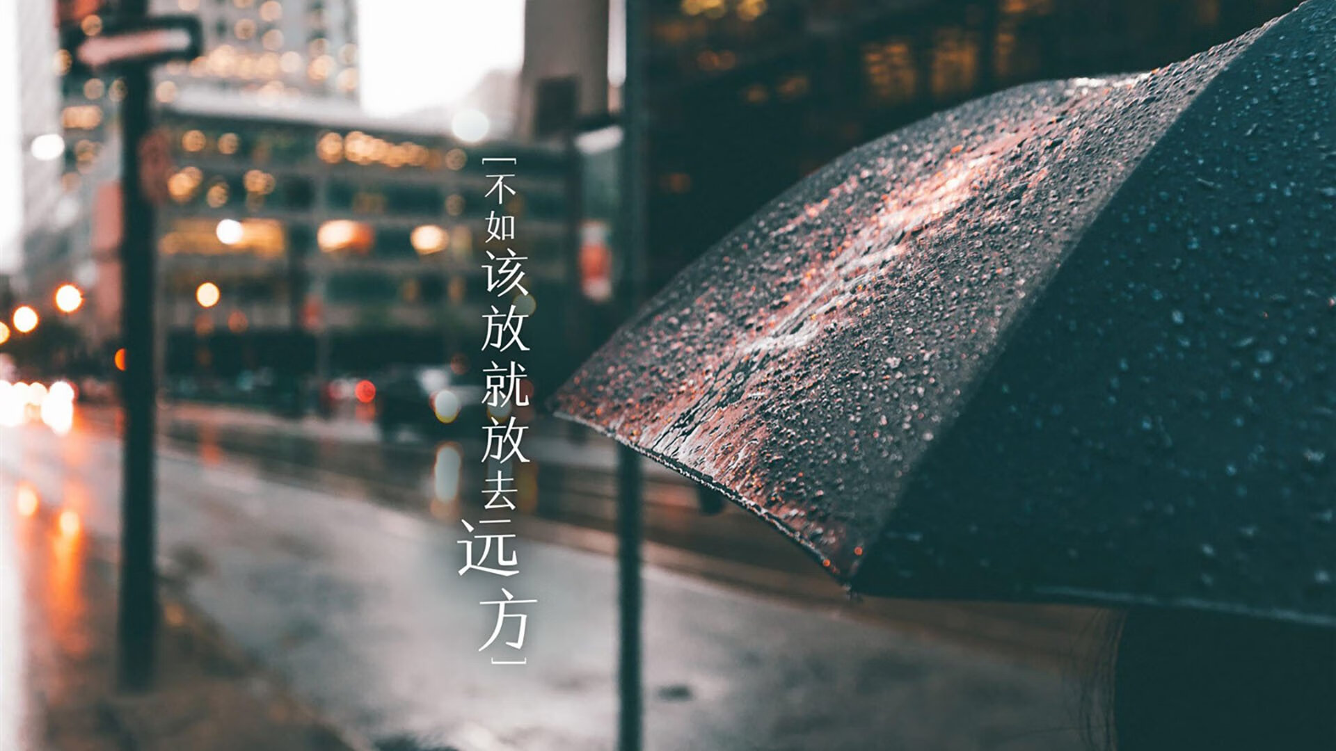 冰与火的交锋,2026世界杯D组焦点战,齐耶赫的魔力如何以唯一的方式撕裂冰岛防线