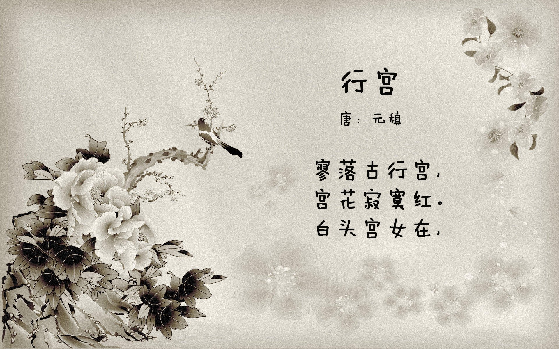 沙漠风暴席卷中美洲,阿诺德一人成军,阿联酋在2026世界杯D组焦点战中演绎足球新秩序
