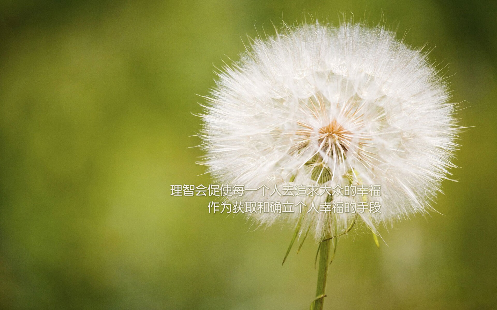 血战2026,努涅斯一剑封喉,沙特在C组死亡之局中写下唯一答案